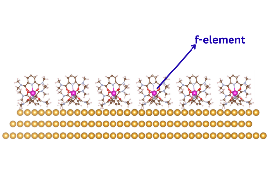 DFT+DMRG study for transition metal atom chain
